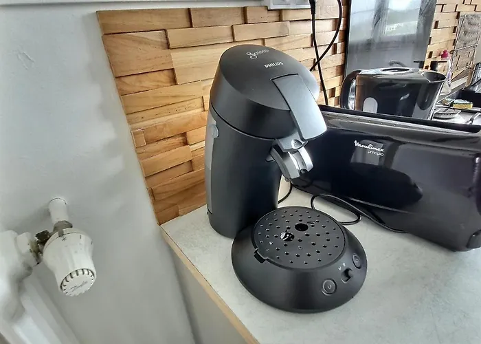 Bel Cosy Et Lumineux, Gare Sncf דירה נאנט